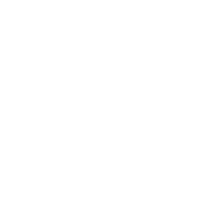 AM HOTEL WELLNES