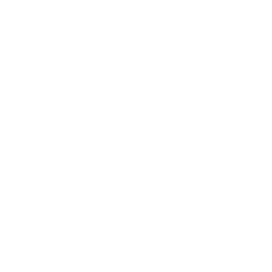 Effi logo