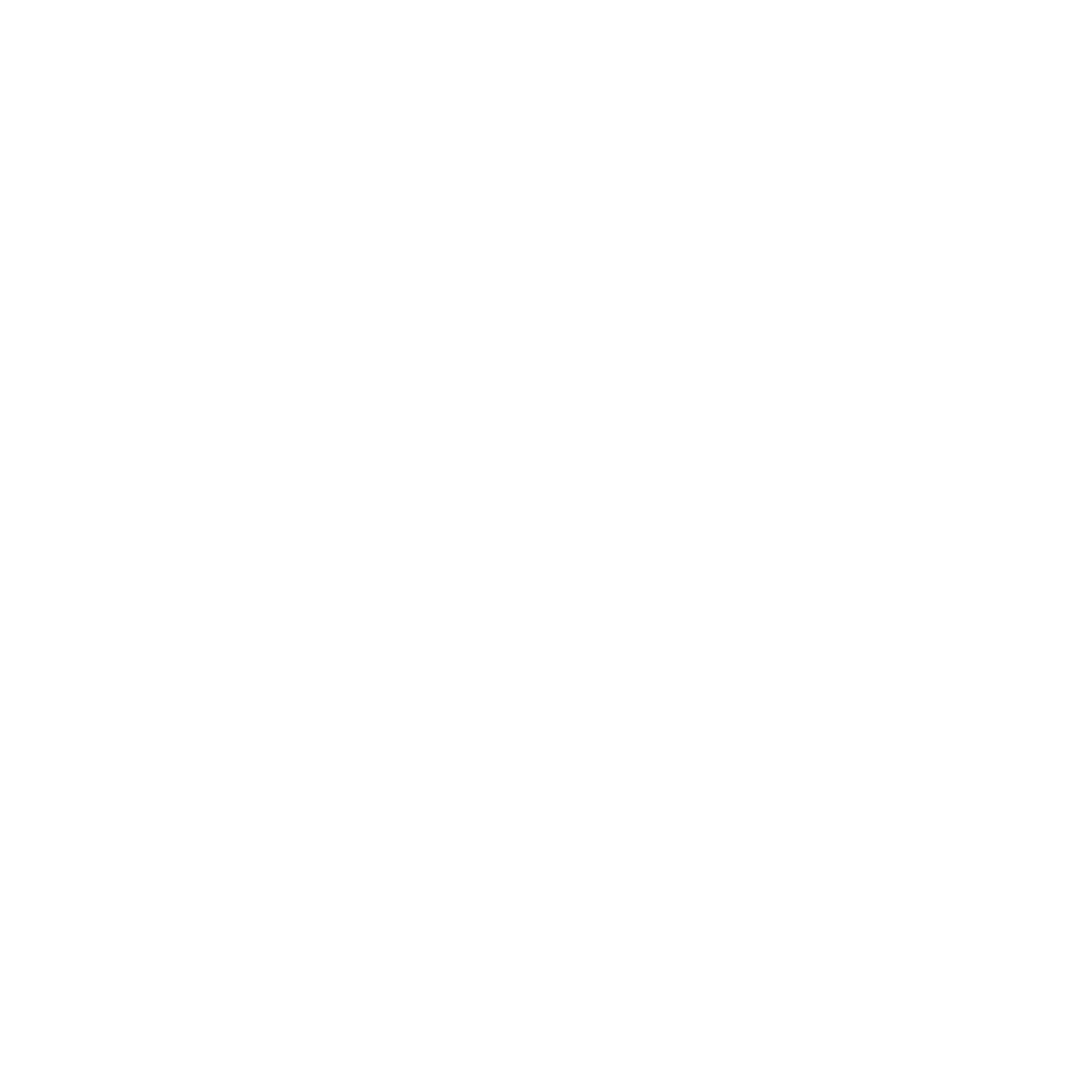 Regiomax loogo