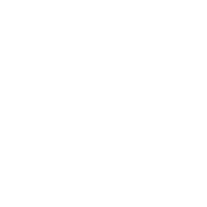 Vendinvest logo